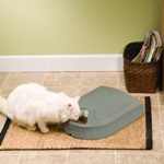 petsafe-futterreservoir-5-mahlzeiten_2